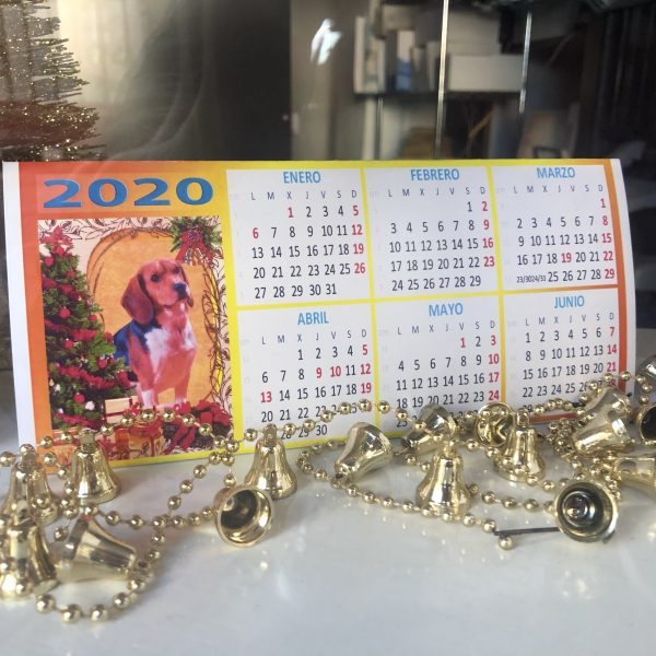 calendario personalizado